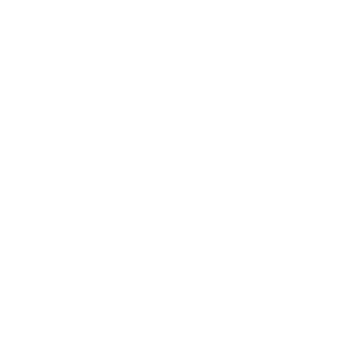 Vorx Consultants