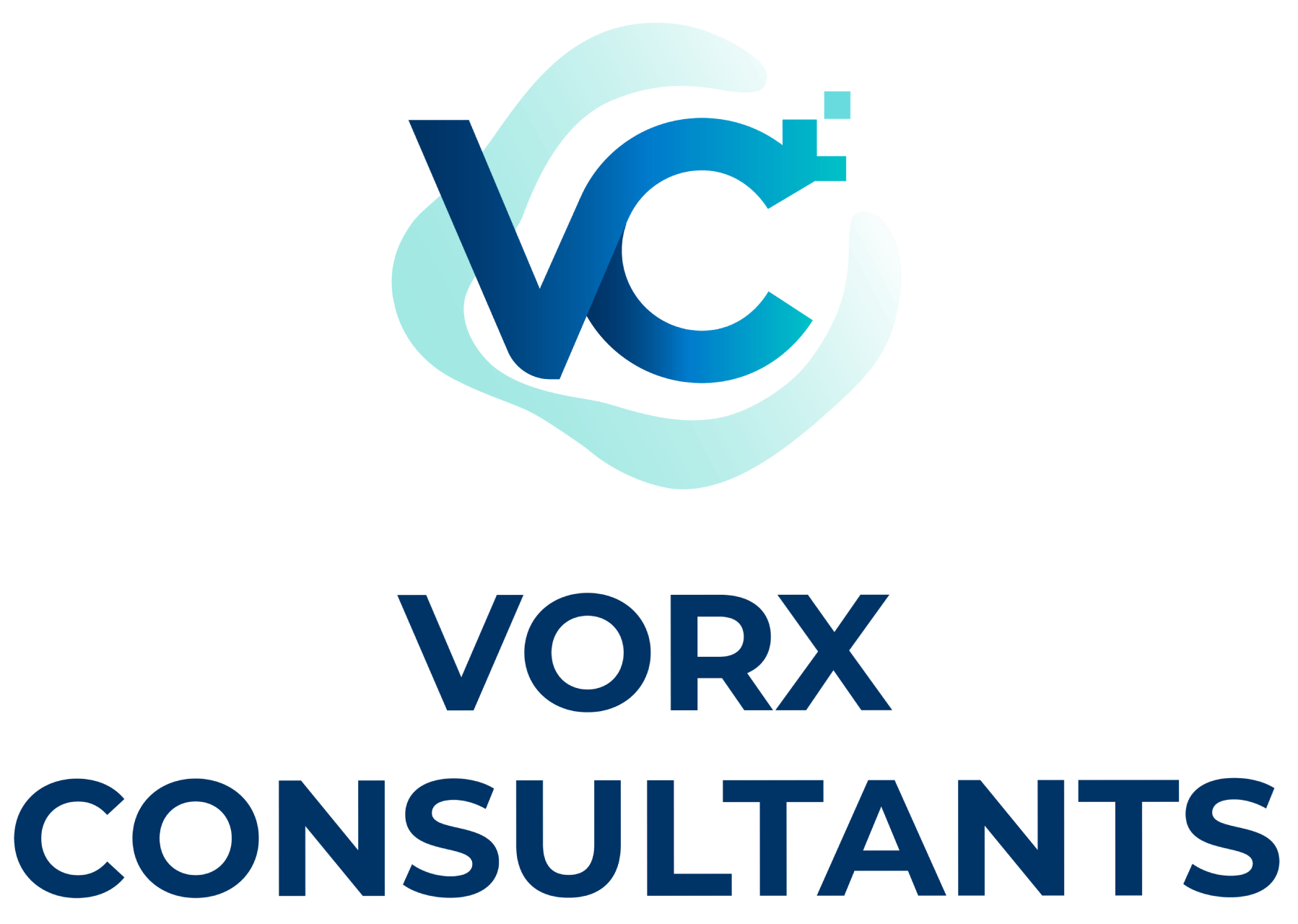Vorx Consultants